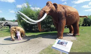 Mała dziewczynka przytula się do miniaturowego mamuta, podczas gdy obok stoi gigantyczny okaz. Wspaniałe atrakcje dla dzieci na świeżym powietrzu.