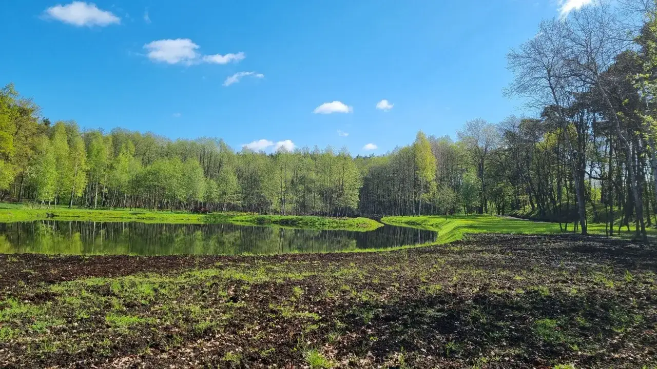Piękne jezioro otoczone lasem, idealne miejsce, gdzie na rowery.