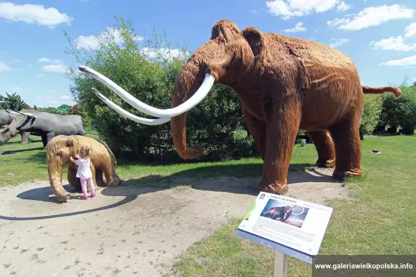 Mała dziewczynka przytula się do miniaturowego mamuta, podczas gdy obok stoi gigantyczny okaz. Wspaniałe atrakcje dla dzieci na świeżym powietrzu.
